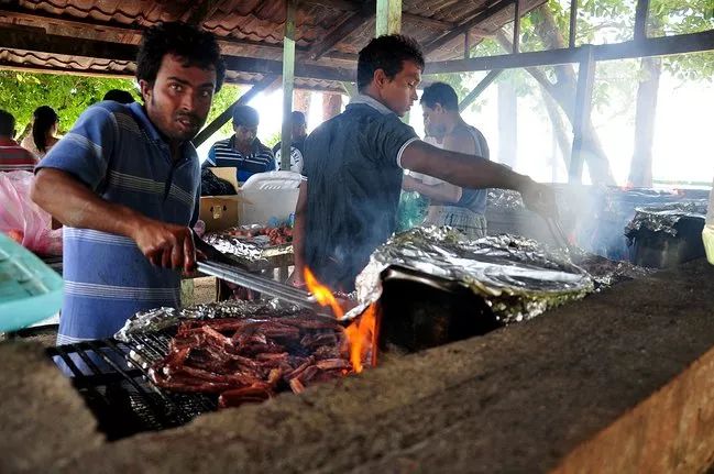 帕劳金色水母,帕劳水母旅行