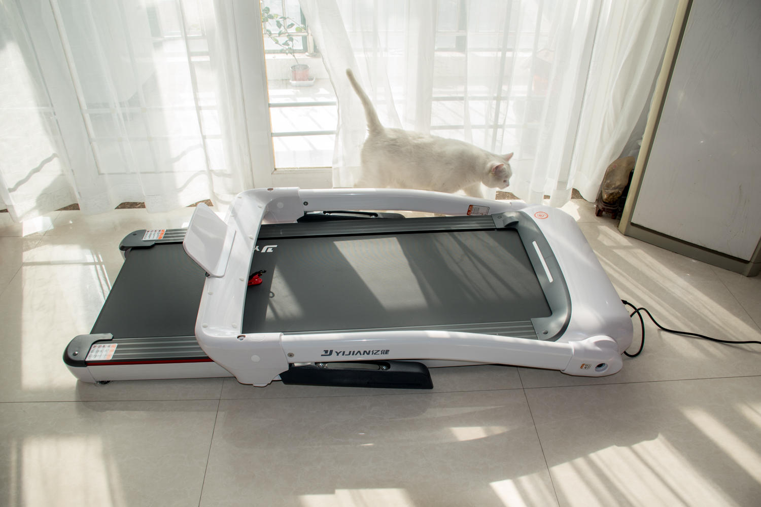 在家也能好好健身,宅在家也能健身