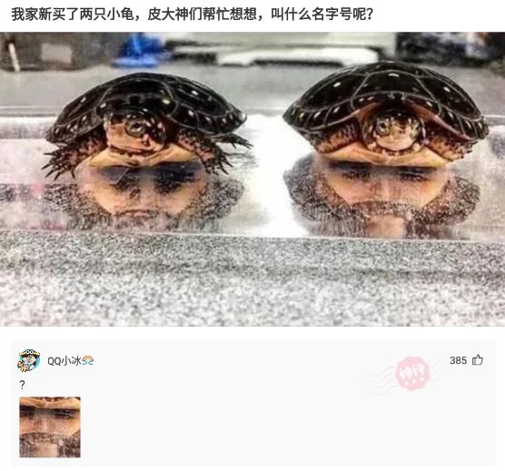 如果我烧了神社,如果我火烧靖国神社该怎么办