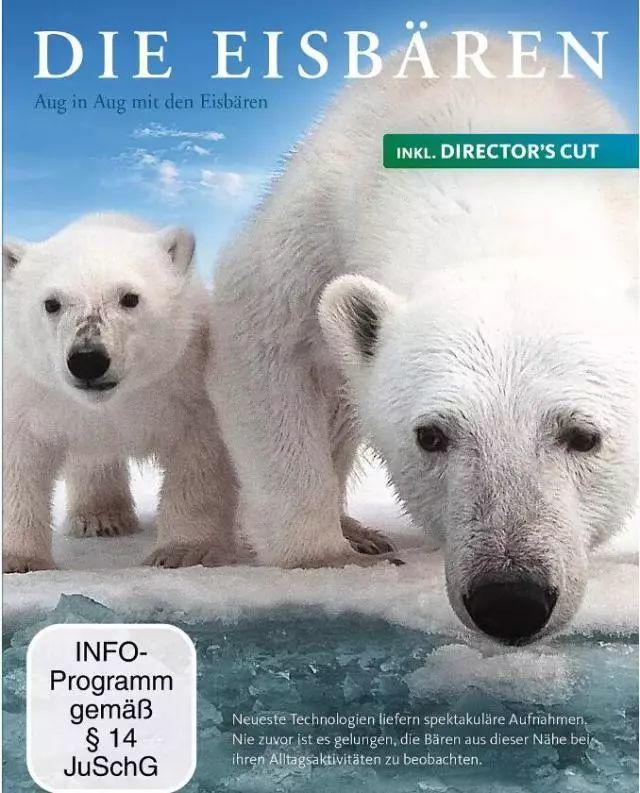 喜羊羊与灰太狼原始世界纪录片,喜羊羊与灰太狼每部片讲述的道理