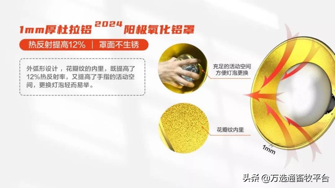 温暖相约“小红豆”，助力猪场新发展