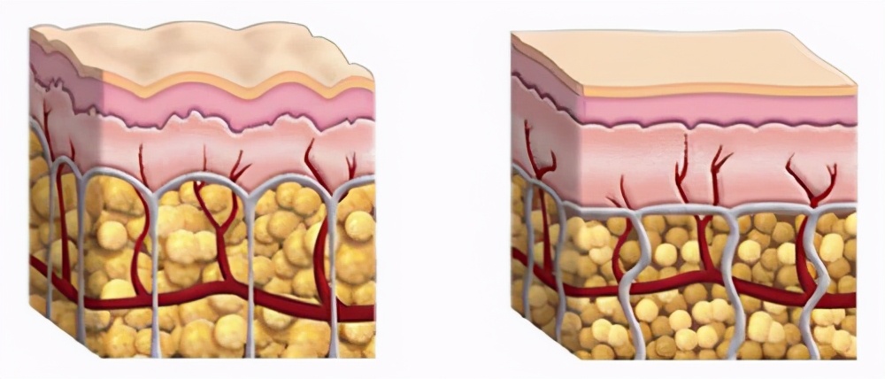 一分钟让你认识心理学,一分钟让你认识参数