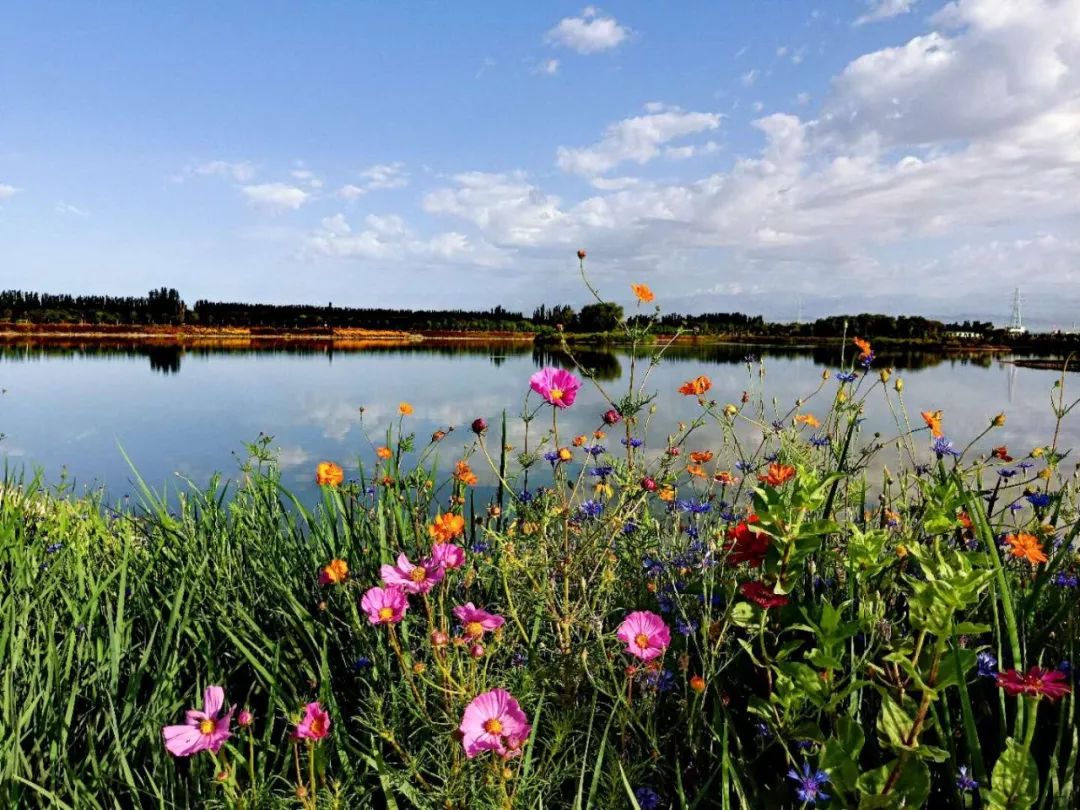 阿克苏在新疆的经济排名,阿克苏最强的县