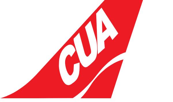 国内航空廉价,国内廉价航空公司有哪些