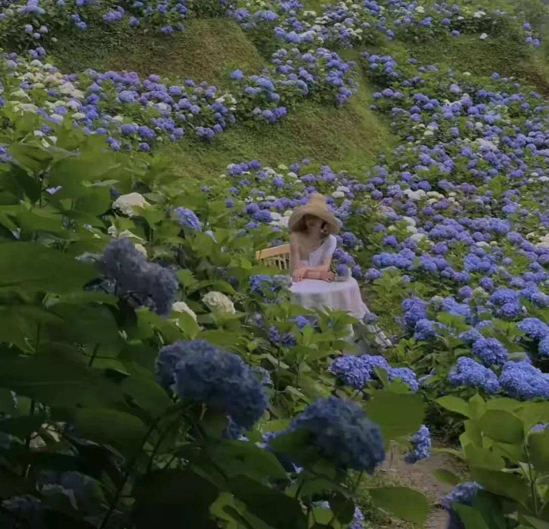 四年级我得到了什么的作文,四年级上册我得到了什么300字