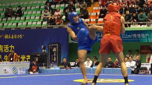 付高峰vs一龙,付高峰播求比赛视频