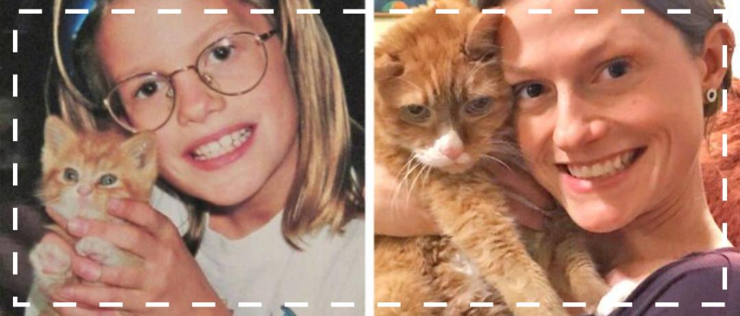 珍贵照片猫咪,猫咪和主人令人惊艳的合照