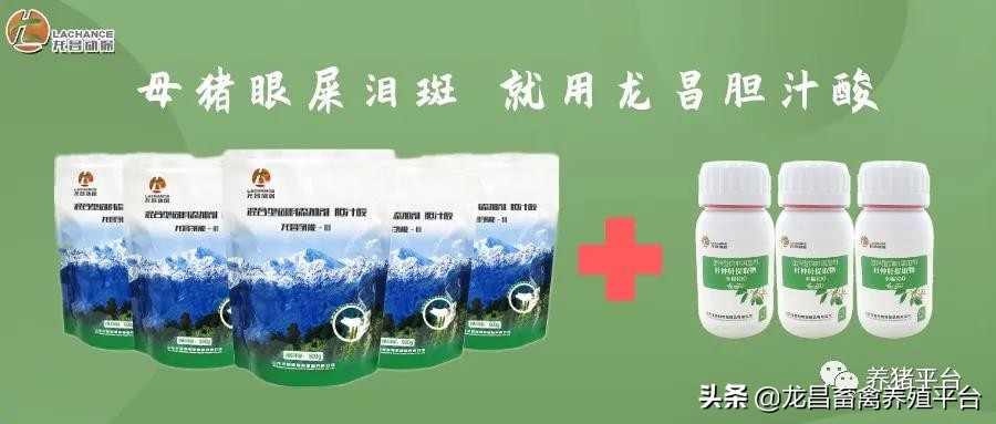 自制自走式饲料搅拌机大概价格,自制草料搅拌机图片大全