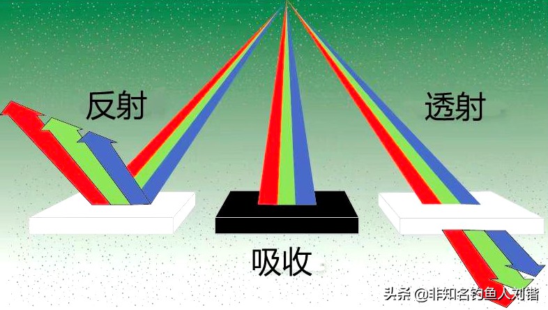 钓鱼浮漂哪种容易看清楚,钓鱼浮漂一般什么颜色好