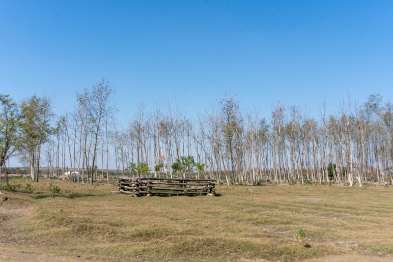 森林麋鹿公园,森林麋鹿