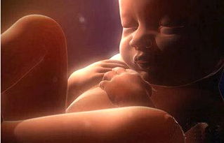 孕妇有什么习俗和禁忌,古代怀孕十大忌