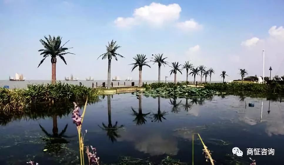 都说湖州龙之梦光明梦想城好，您们认为呢？欢迎评论