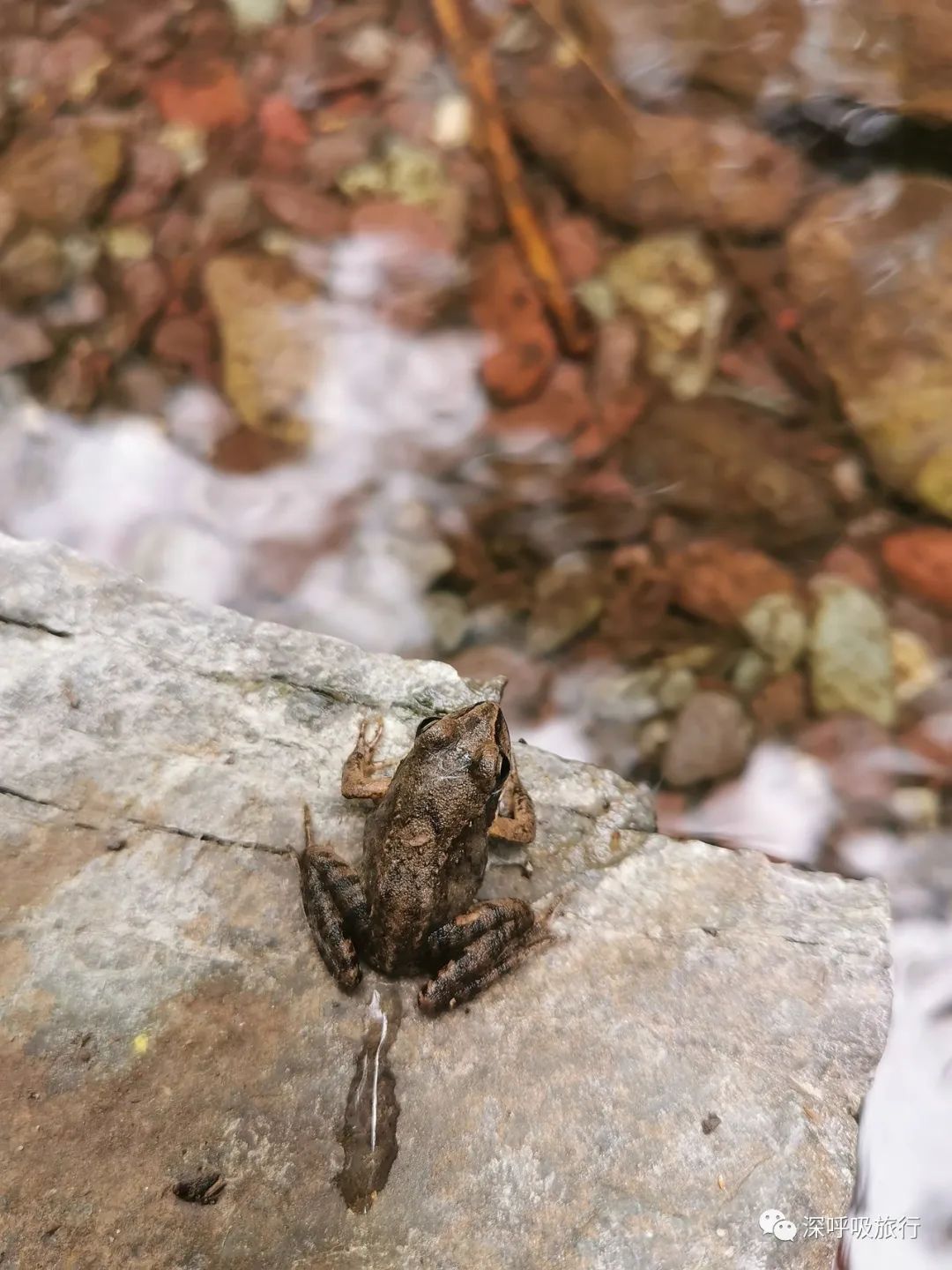 京西小九寨百瀑谷,京西双龙峡小火车图片