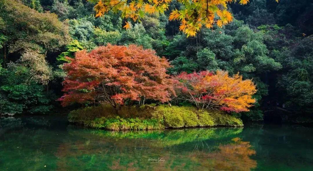 国内小众拍照胜地排名,文艺气息满溢的拍照圣地