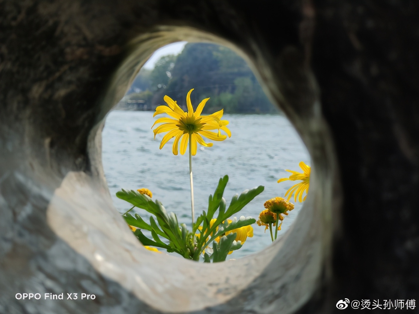 5月拍照手机推荐2000左右,拍照手机5月