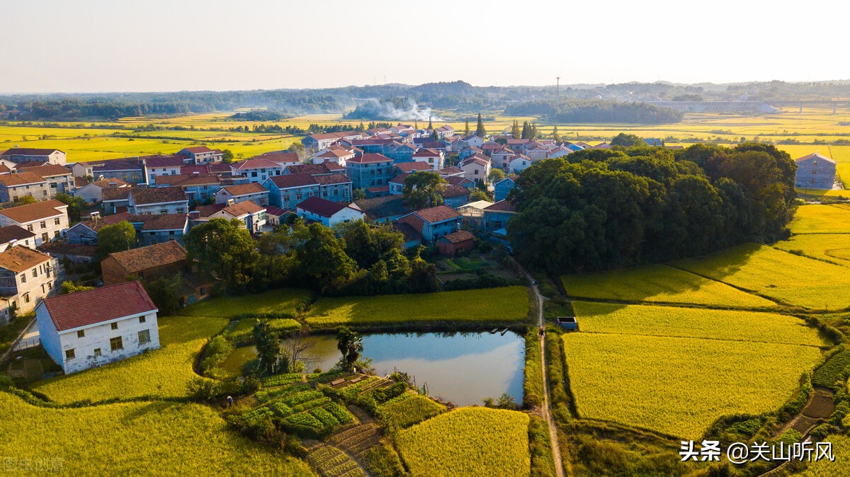 家里蟾蜍进门的真正预兆是什么,蟾蜍进屋是什么征兆