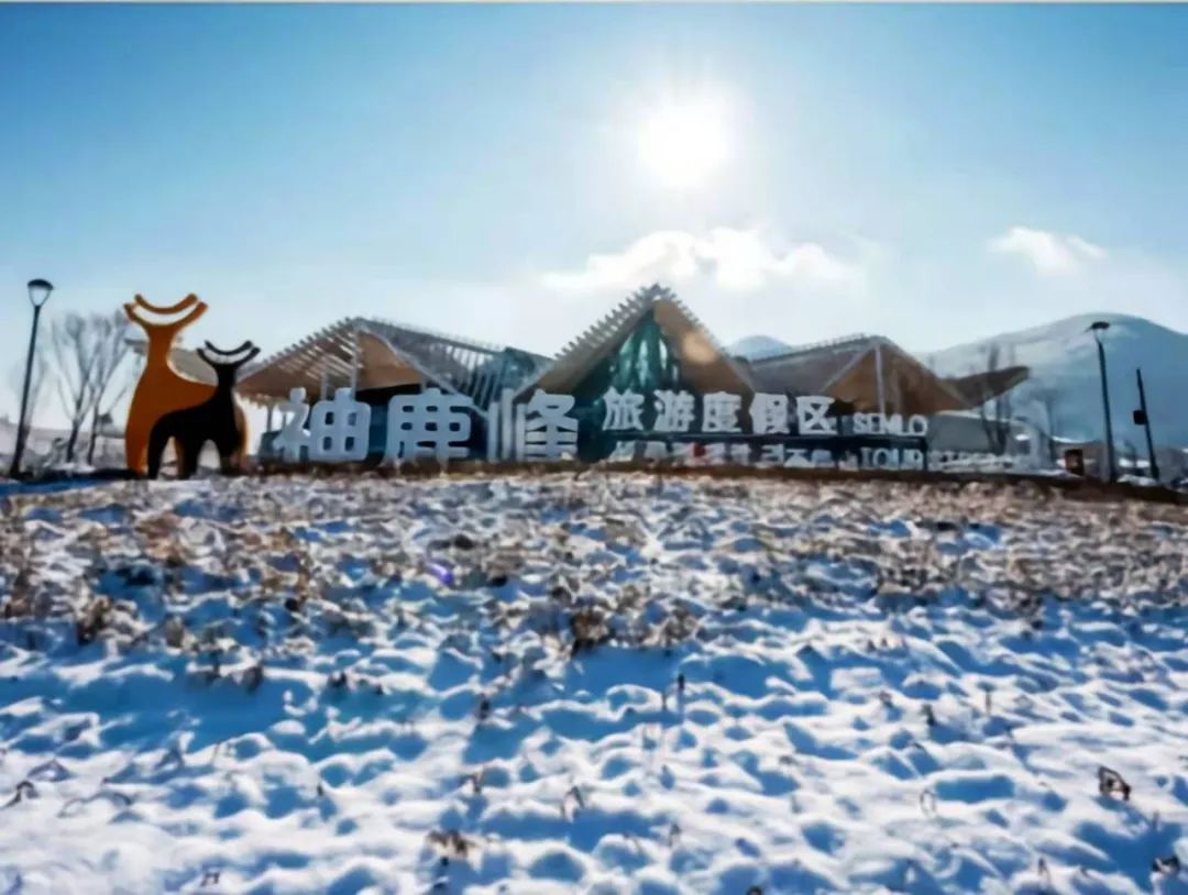 放假孩子们来家玩得好开心,放假了孩子还闹着要去幼儿园