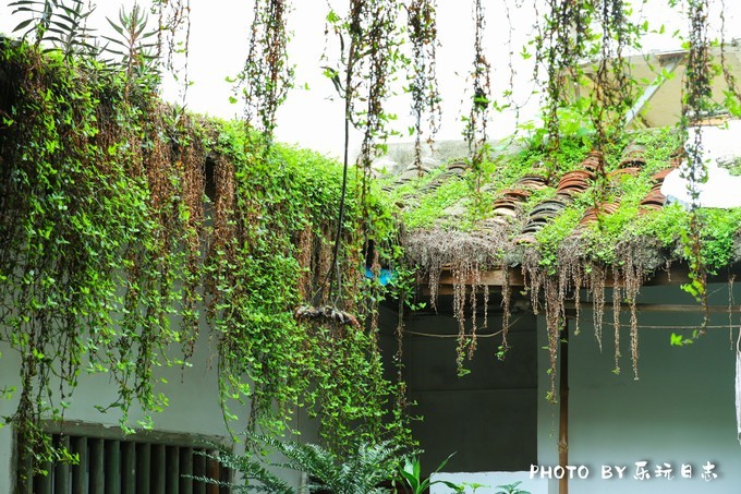 惠州经典特色东江菜,惠州老字号东江菜美食