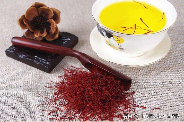 女性喝藏红花茶有什么好处和坏处,藏红花对女性的妇科有什么好处