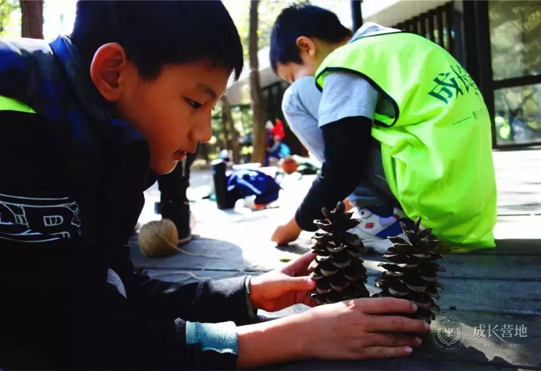 保护朱鹮,朱鹮自然保护区有利条件