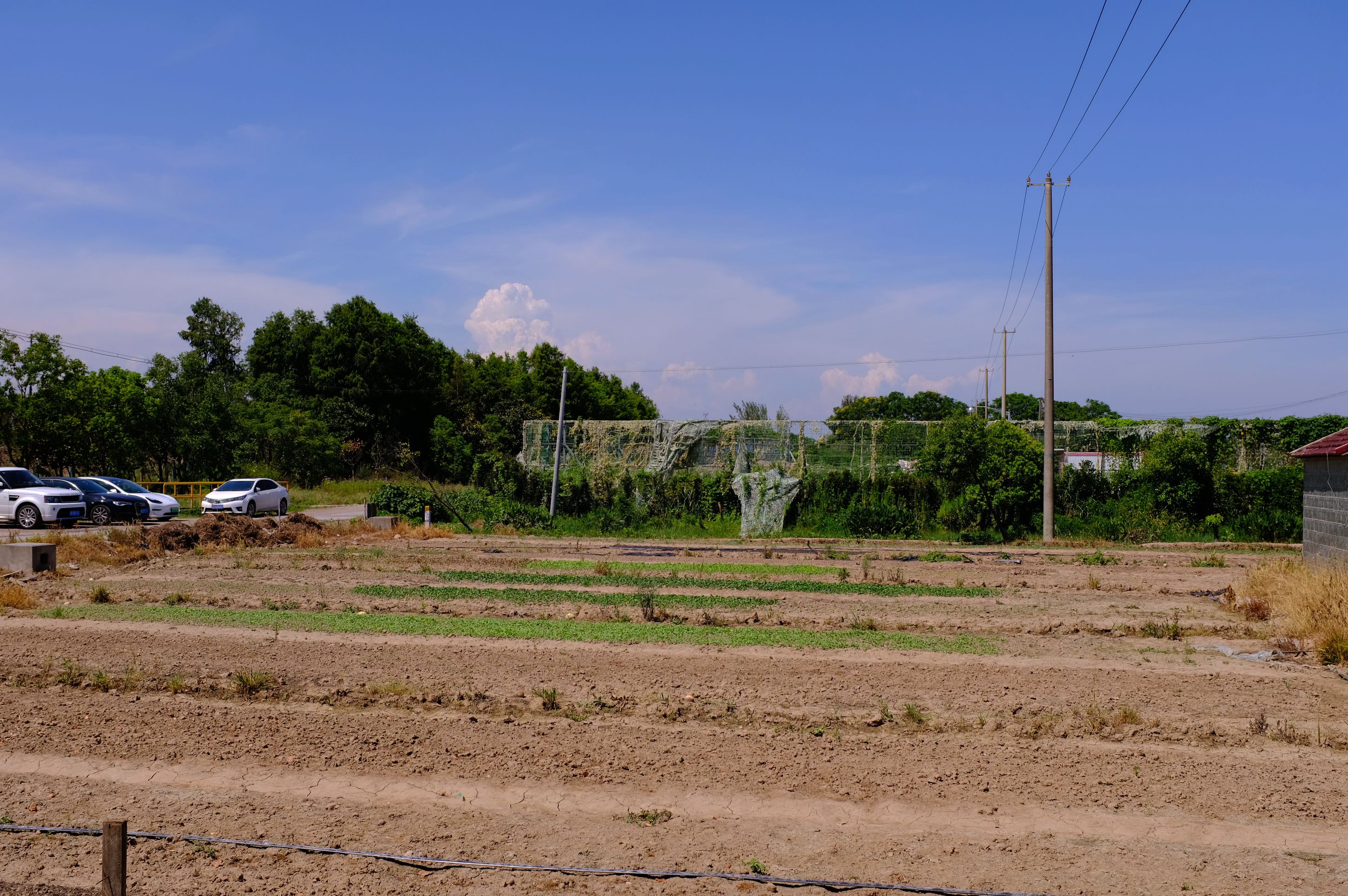 香喷喷快乐农庄,浦东新区香喷喷快乐农庄