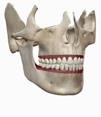 正美体态矫正教学视频,颧骨外扩左右脸不匀称体态改善