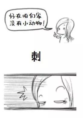 二孩家庭的真实生活,二孩家庭的幸福