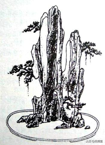 丛林式盆景欣赏,盆景欣赏及制作