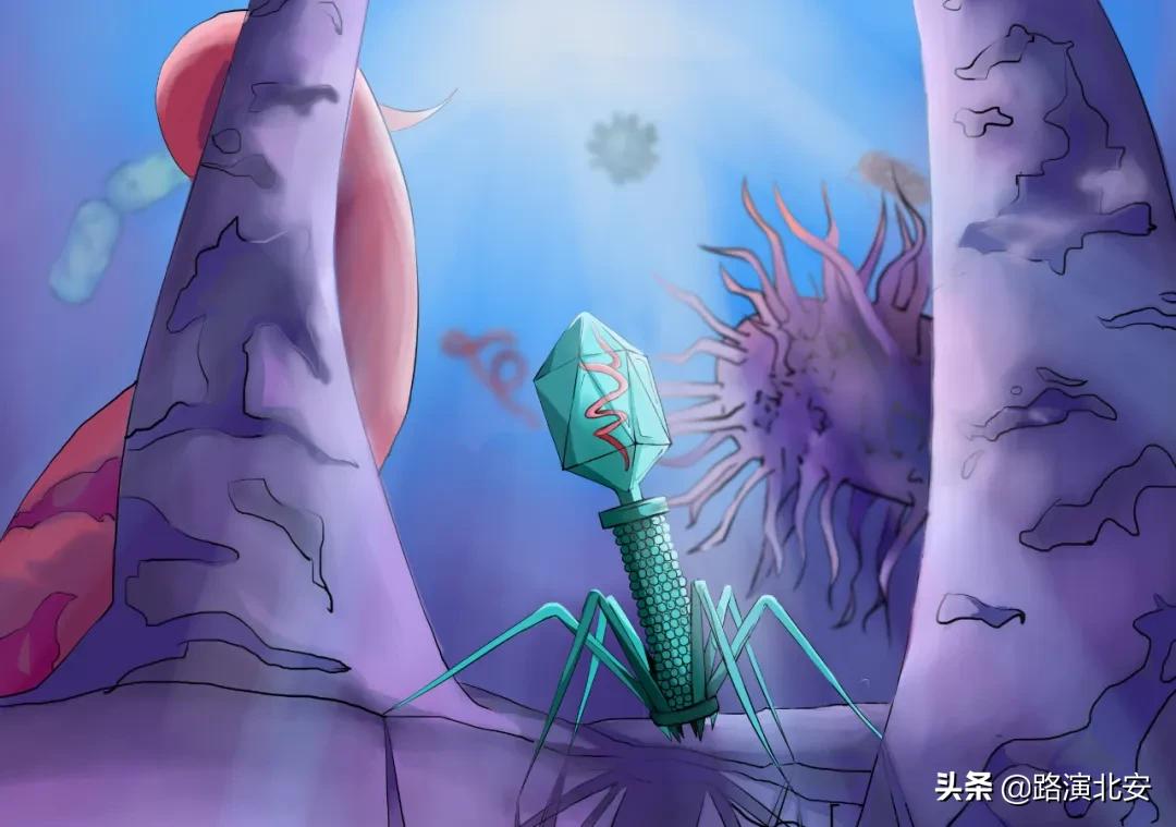 生命的故事绘本视频,生命的故事绘本绘画