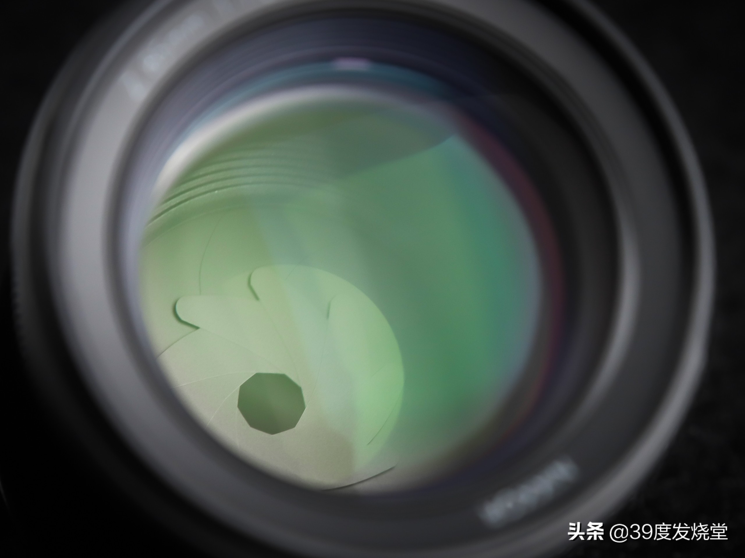 这5000元真值了!尼康Z85mmf/1.8轻量化人像镜头评测