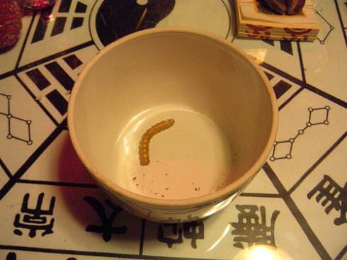 云南蛇蛊,云南虫谷的蛇蛊