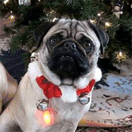 送口红留言什么比较好,送口红暖心留言