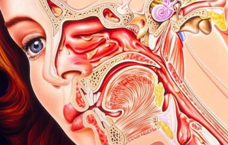 耳鼻喉专家讲解鼻窦炎,鼻窦炎最严重的症状及表现