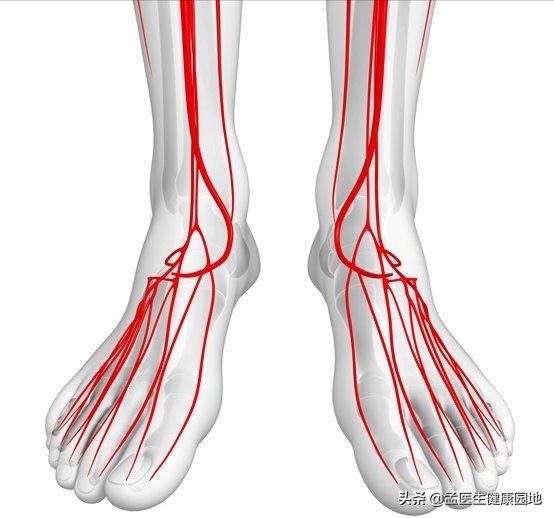 血管堵脚上有四个异常,血管堵没堵看脚四个地方就知道