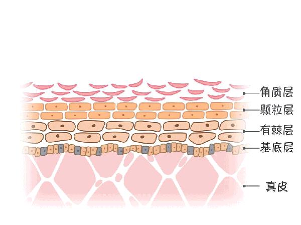 冬天皮肤变得粗糙怎么办,冬天皮肤为什么容易起皮