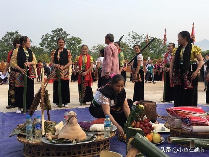 《走进越南》060期:越南山萝省,特产水果销往全球多个高端市场