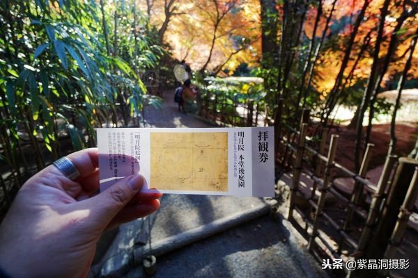 700年历史的日本小寺，为了看秋叶要买两次票，一次比一次贵