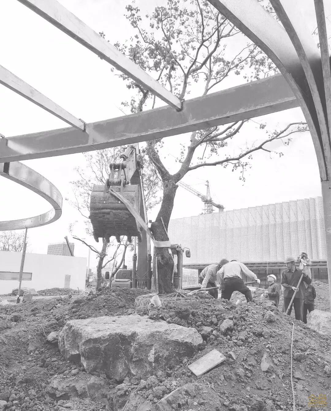 苏州阳光城檀苑,苏州阳光城檀苑公示