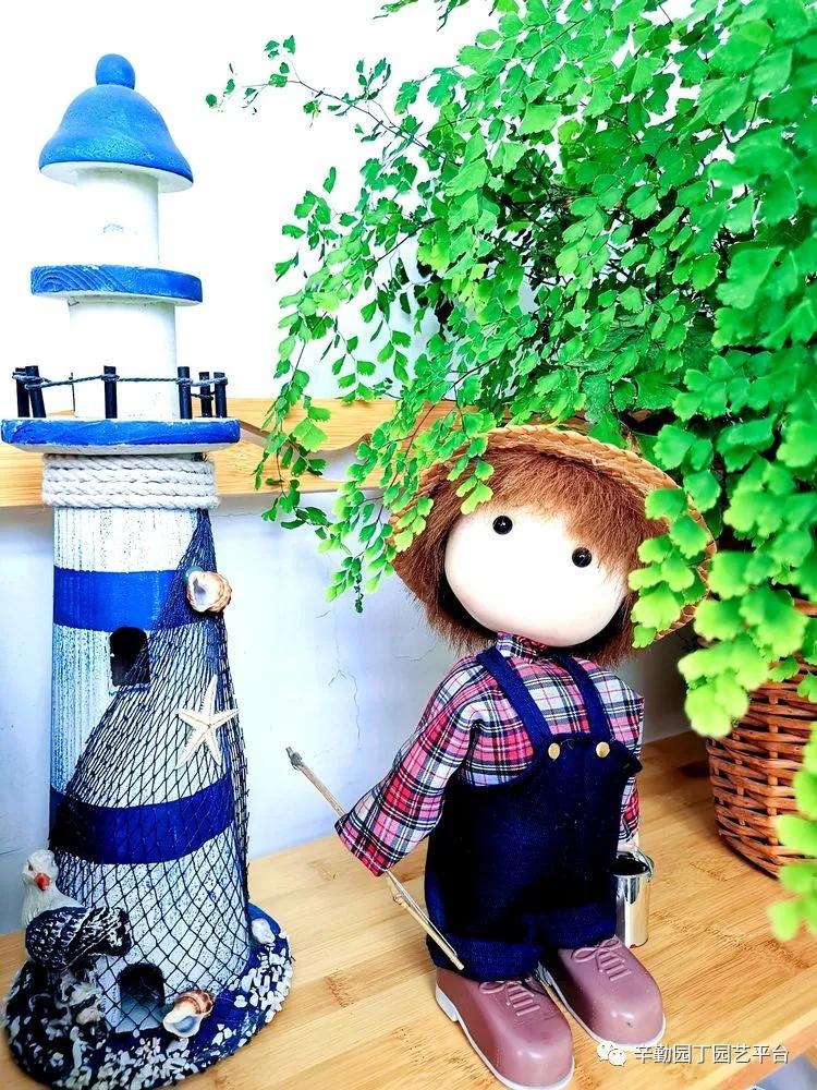 （2021）园丁奖阳台组《008号》星星的花园