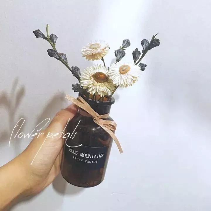 她用这种高颜值的干花装饰家里，隔壁邻居都惊叹不已