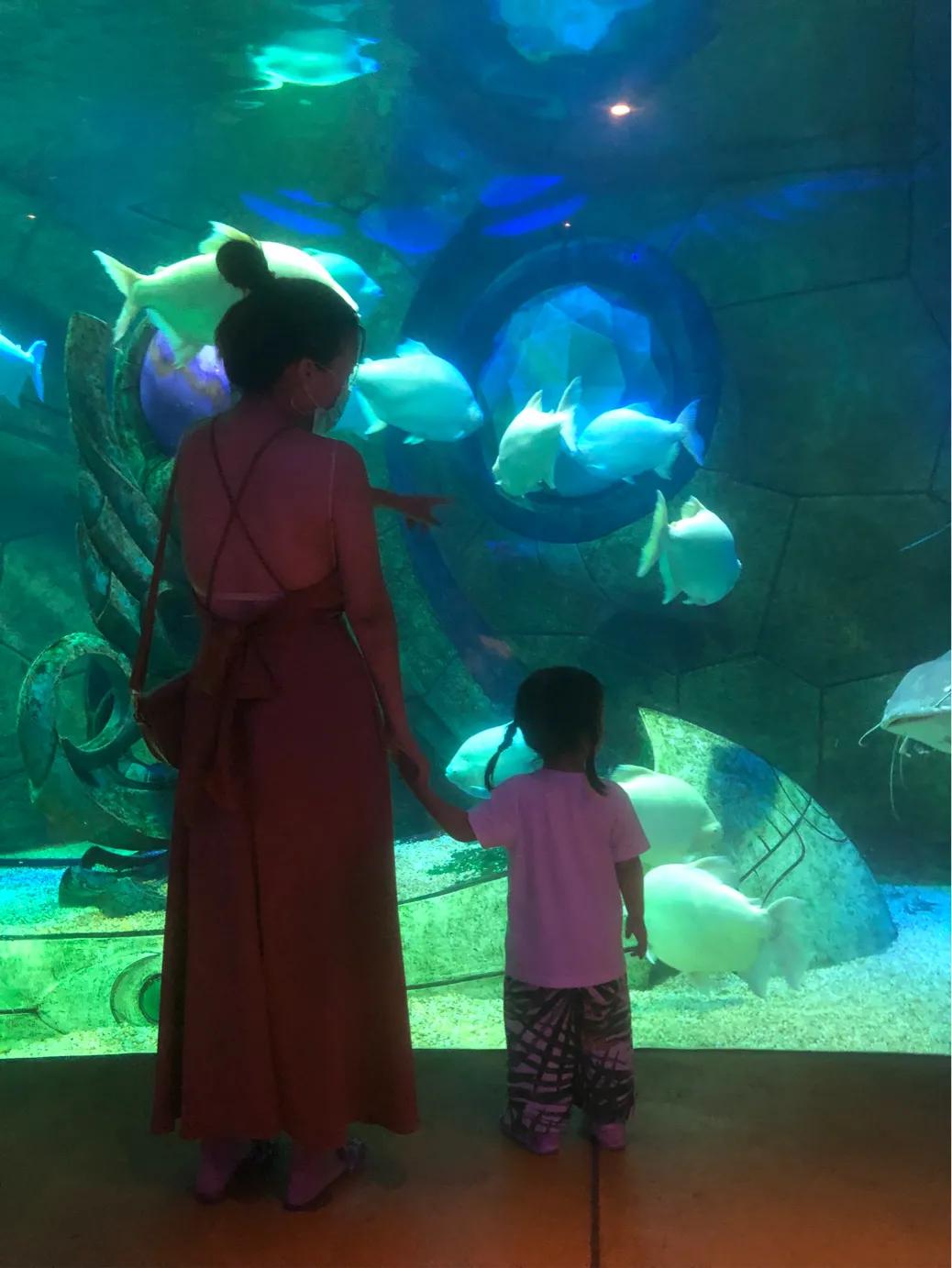 与西藏的不解之缘,与甘肃的不解之缘