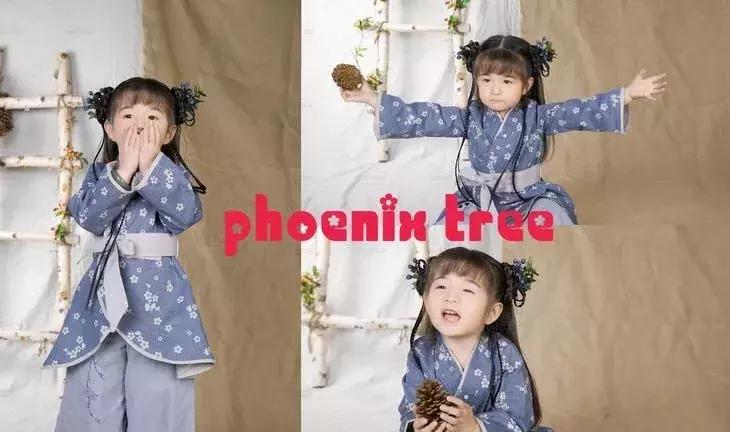 凤栖梧古风摄影凤凰古城,凤栖梧复古摄影玉门关