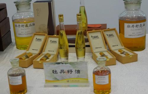 牡丹,熟悉而陌生——“花王”的前世今生,带你重新认识牡丹