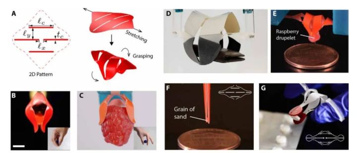 中国科学家研究纳米机器人,中国科学家团队发明的机器人