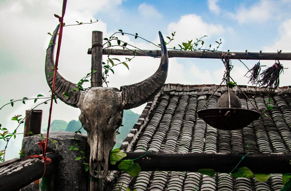 瑶族千年瑶寨攻略,中国最好的瑶寨排名