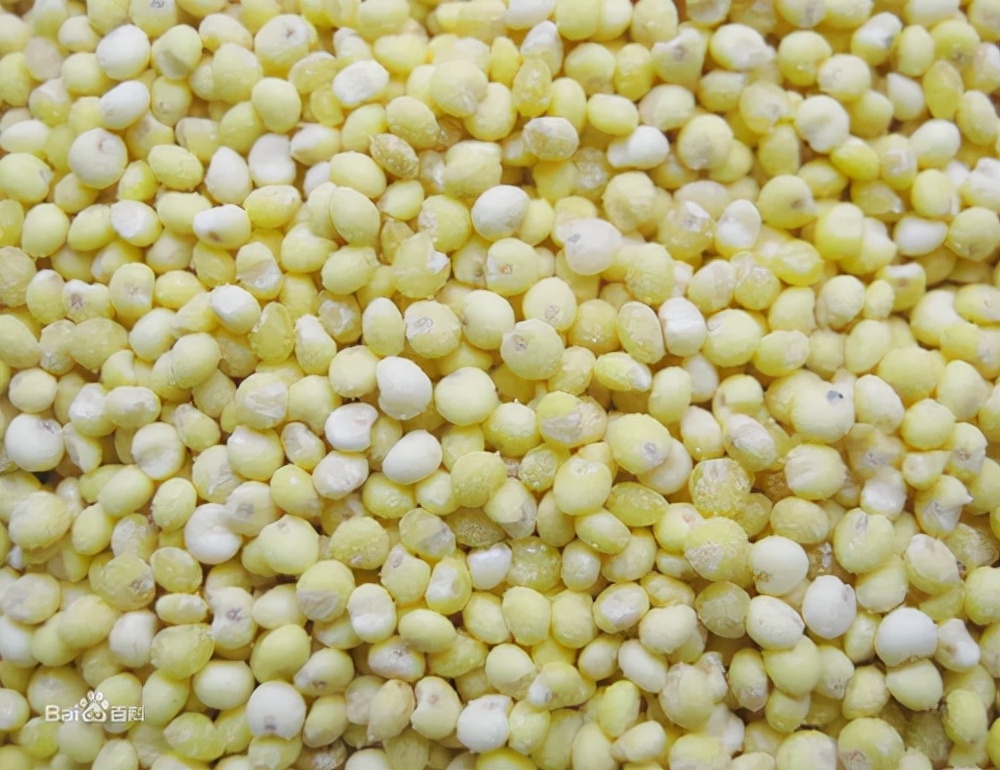 五谷丰登里的五谷有哪些,五谷丰登是指哪五谷图片