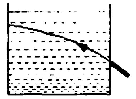 寒假物理八年级直播课,8年级暑假物理直播课程