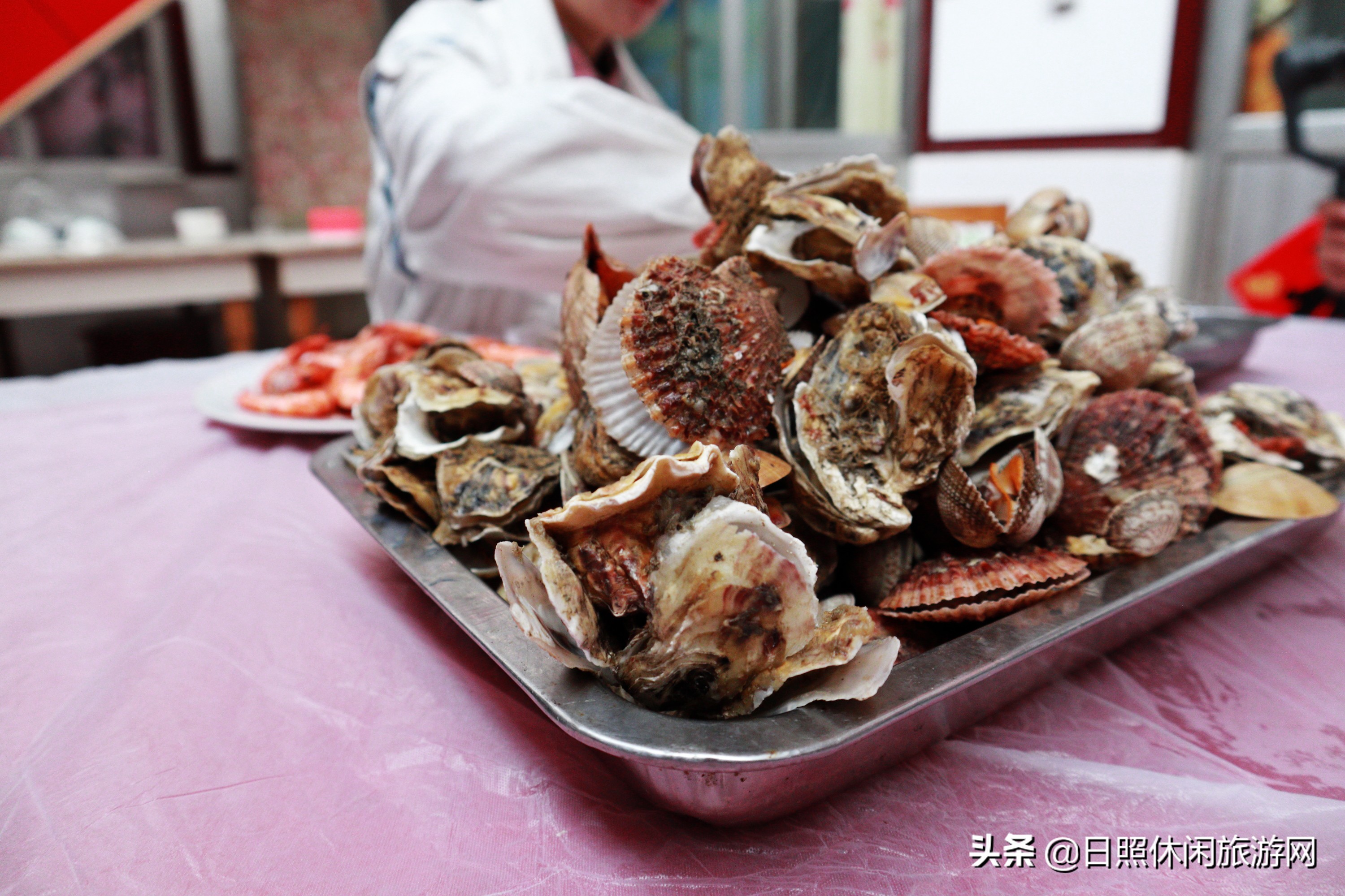 山东日照旅游4-5天详细攻略,去日照旅游应该住在哪里方便游玩