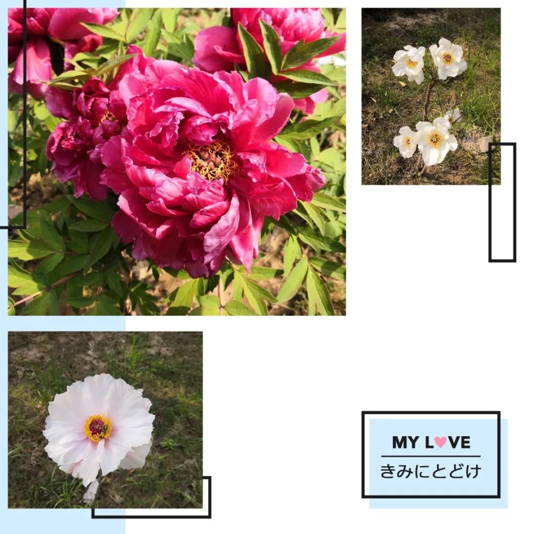 五龙汇爱幼稚园,郑州五龙新城汇爱幼儿园