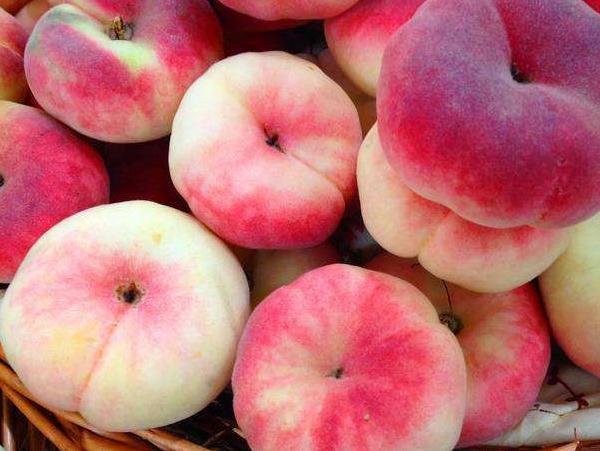 成都新都区军屯镇郭家村,成都新都军屯郭家村